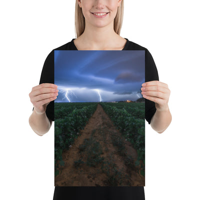 Cottonfield Lighting Storm Luster