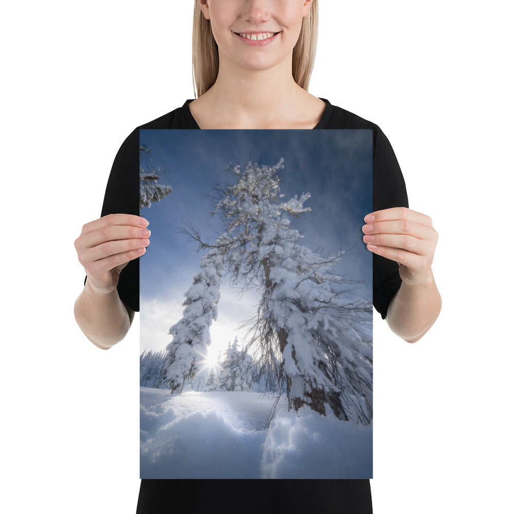 Pagosa Springs Backcountry Luster