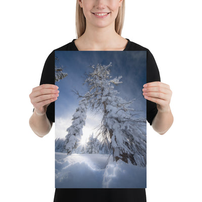 Pagosa Springs Backcountry Luster