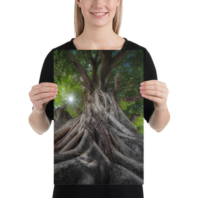 Tree of Hope Luster