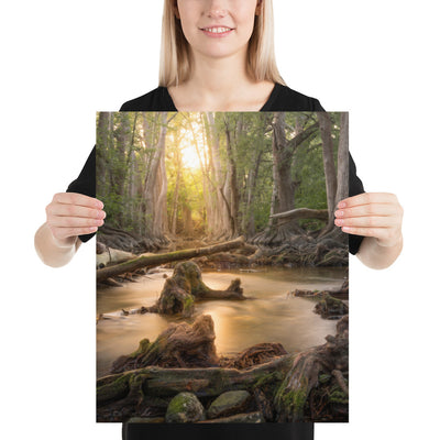 Cibolo Creek Sunset Luster