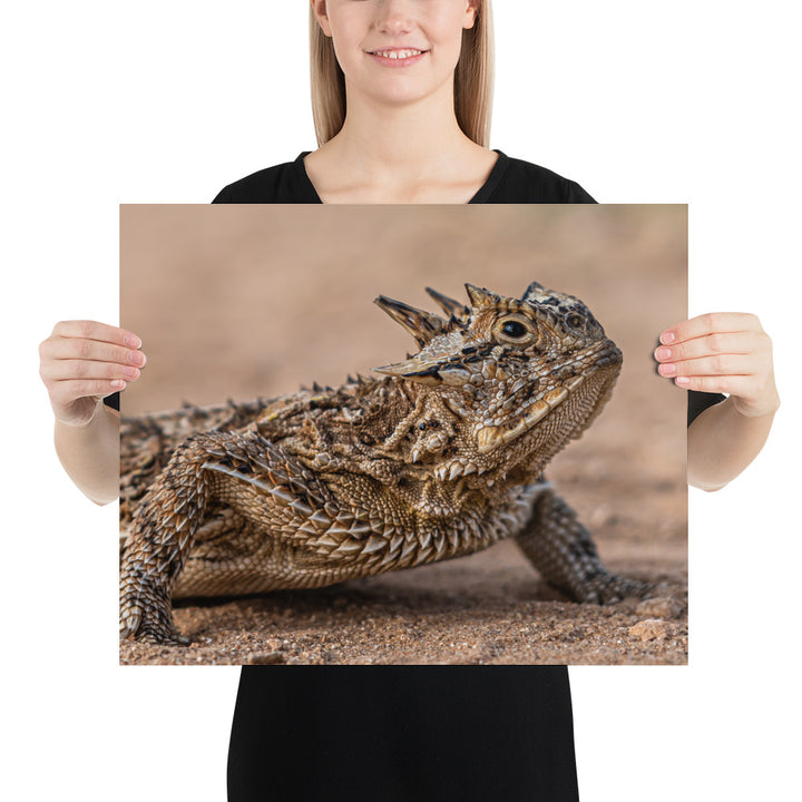 Texas Horned Lizard Luster