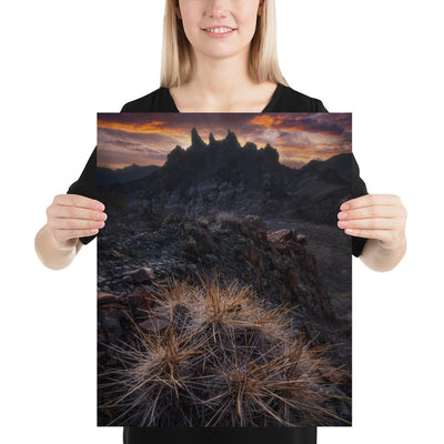 Mule Ears Sunrise Luster