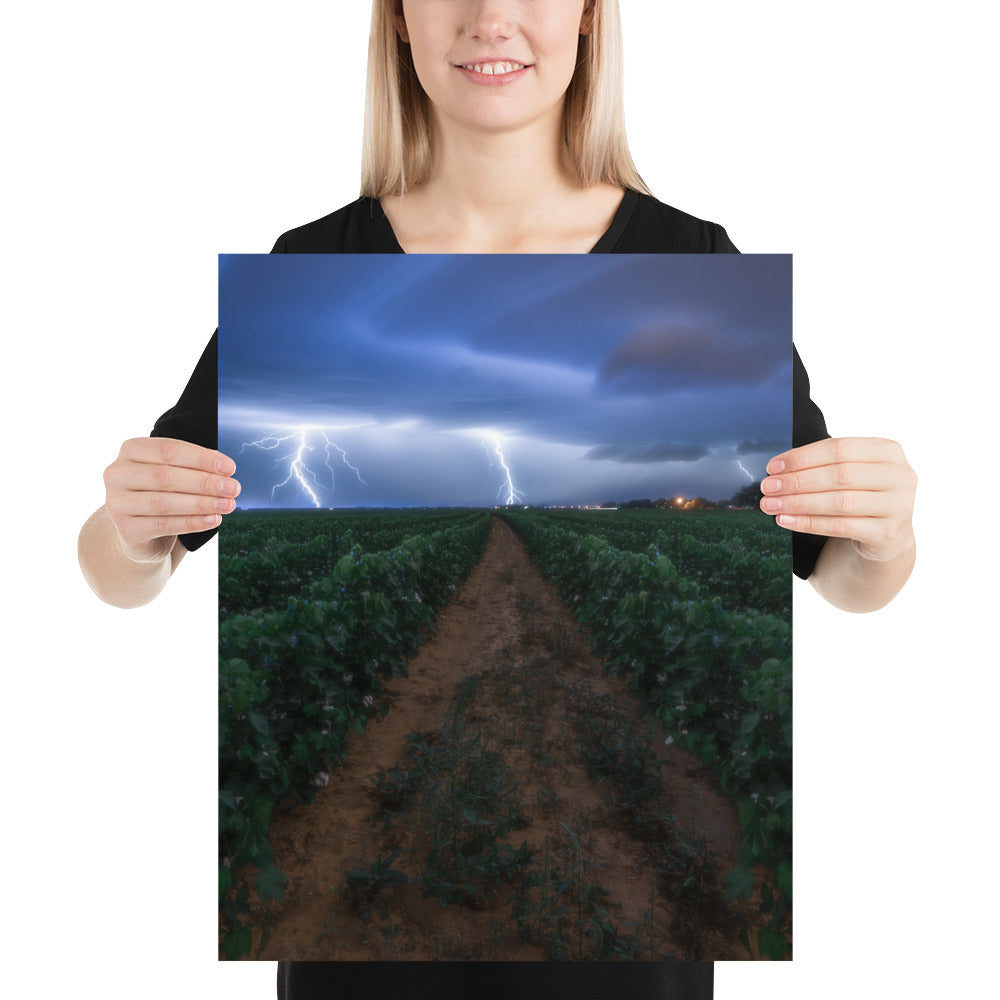 Cottonfield Lighting Storm Luster