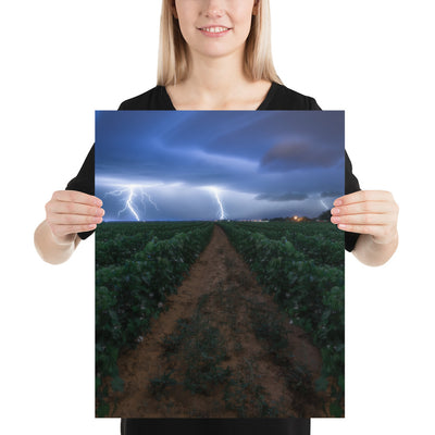 Cottonfield Lighting Storm Luster