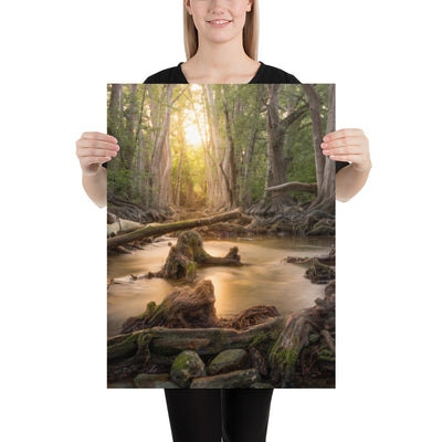Cibolo Creek Sunset Luster