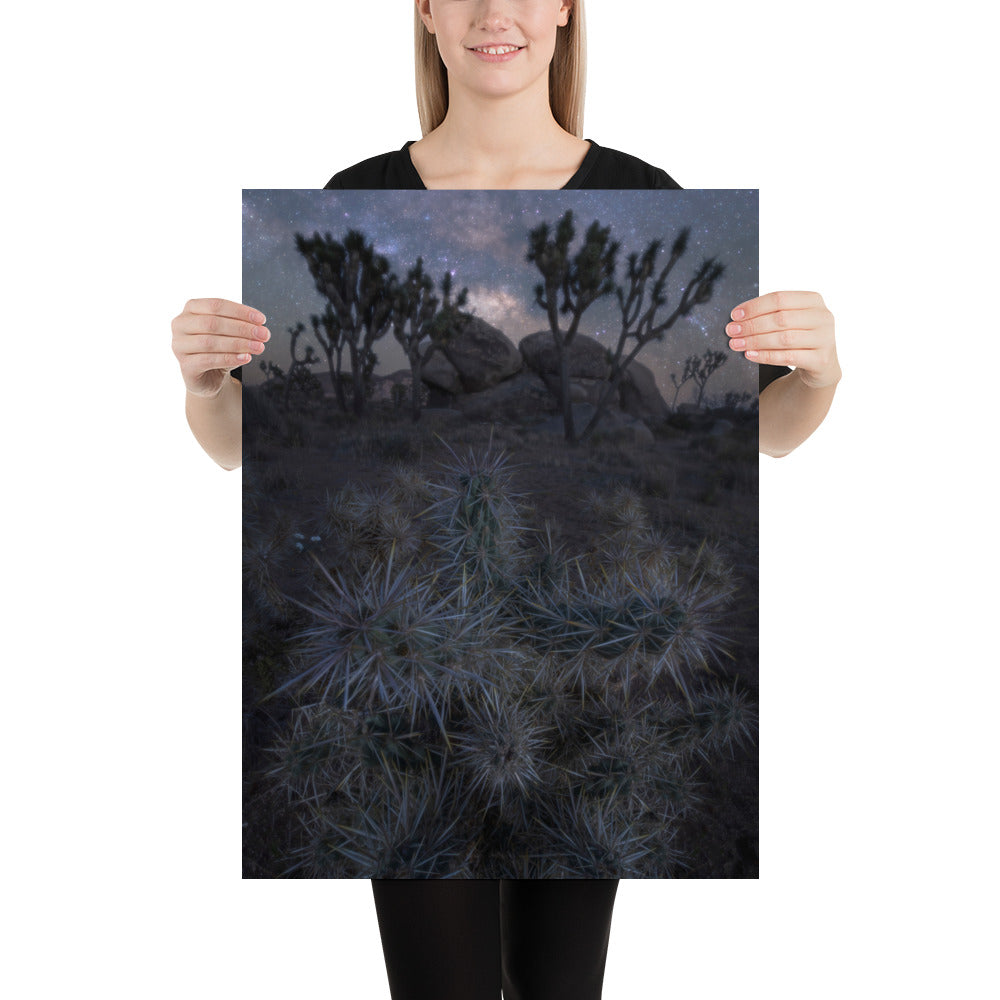 Joshua Tree Night Luster