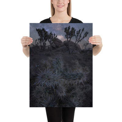 Joshua Tree Night Luster