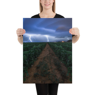 Cottonfield Lighting Storm Luster