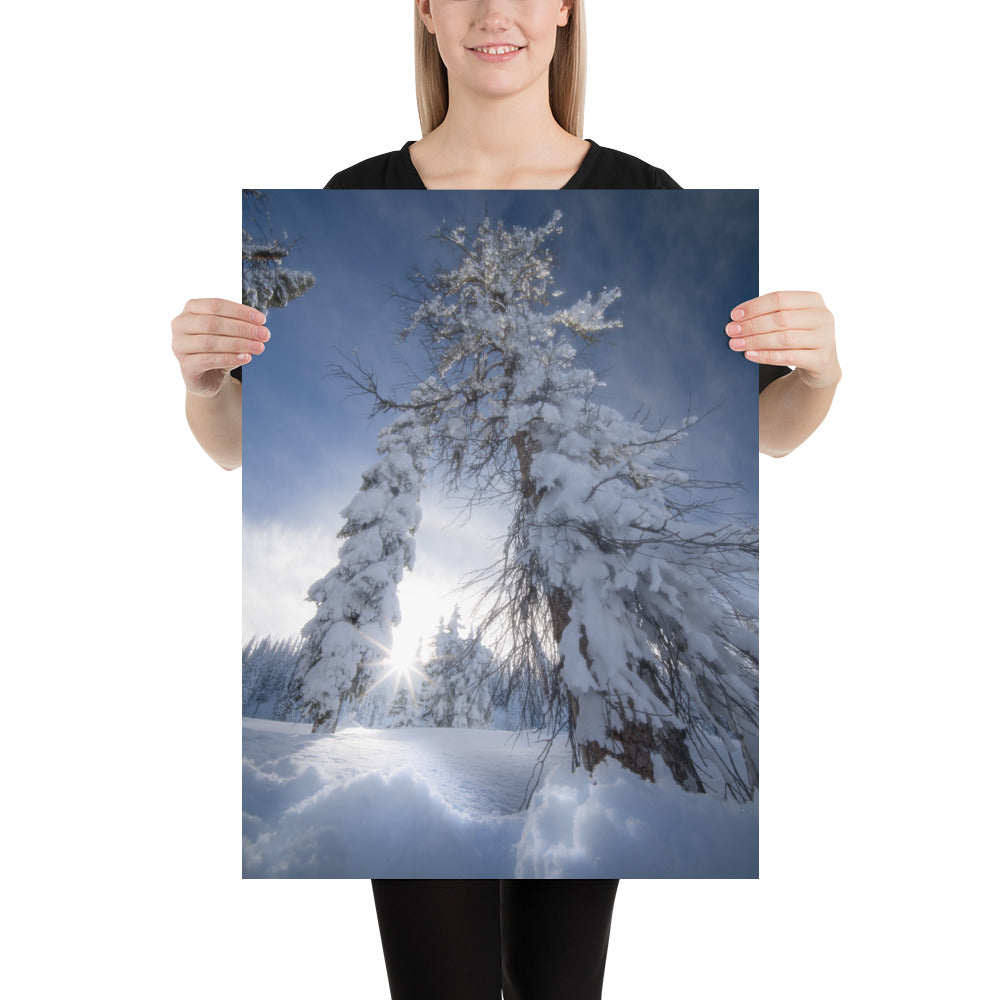 Pagosa Springs Backcountry Luster