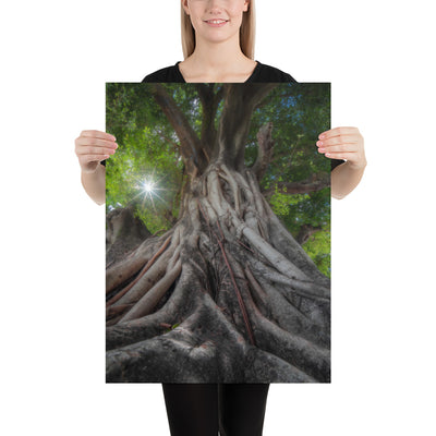 Tree of Hope Luster