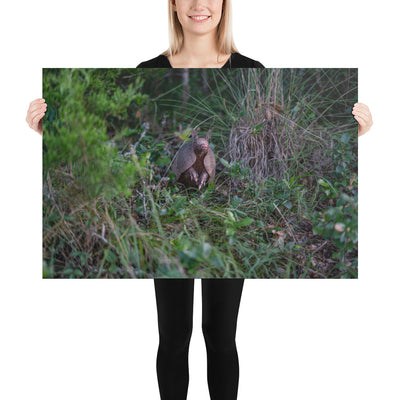Hill Country Armadillo Luster