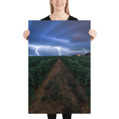 Cottonfield Lighting Storm Luster